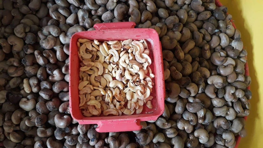 Cashews — premium cashews from Dry Fruit House
