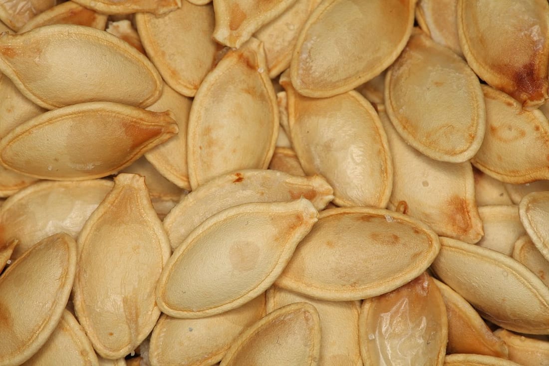 Seeds from Dry Fruit House